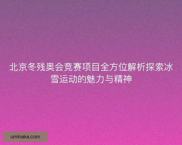 北京冬残奥会竞赛项目全方位解析探索冰雪运动的魅力与精神
